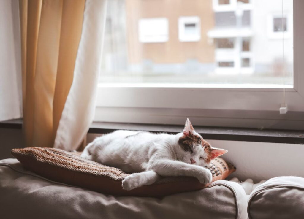 Doctrine of Laches and Acquiescence Progressive Legal