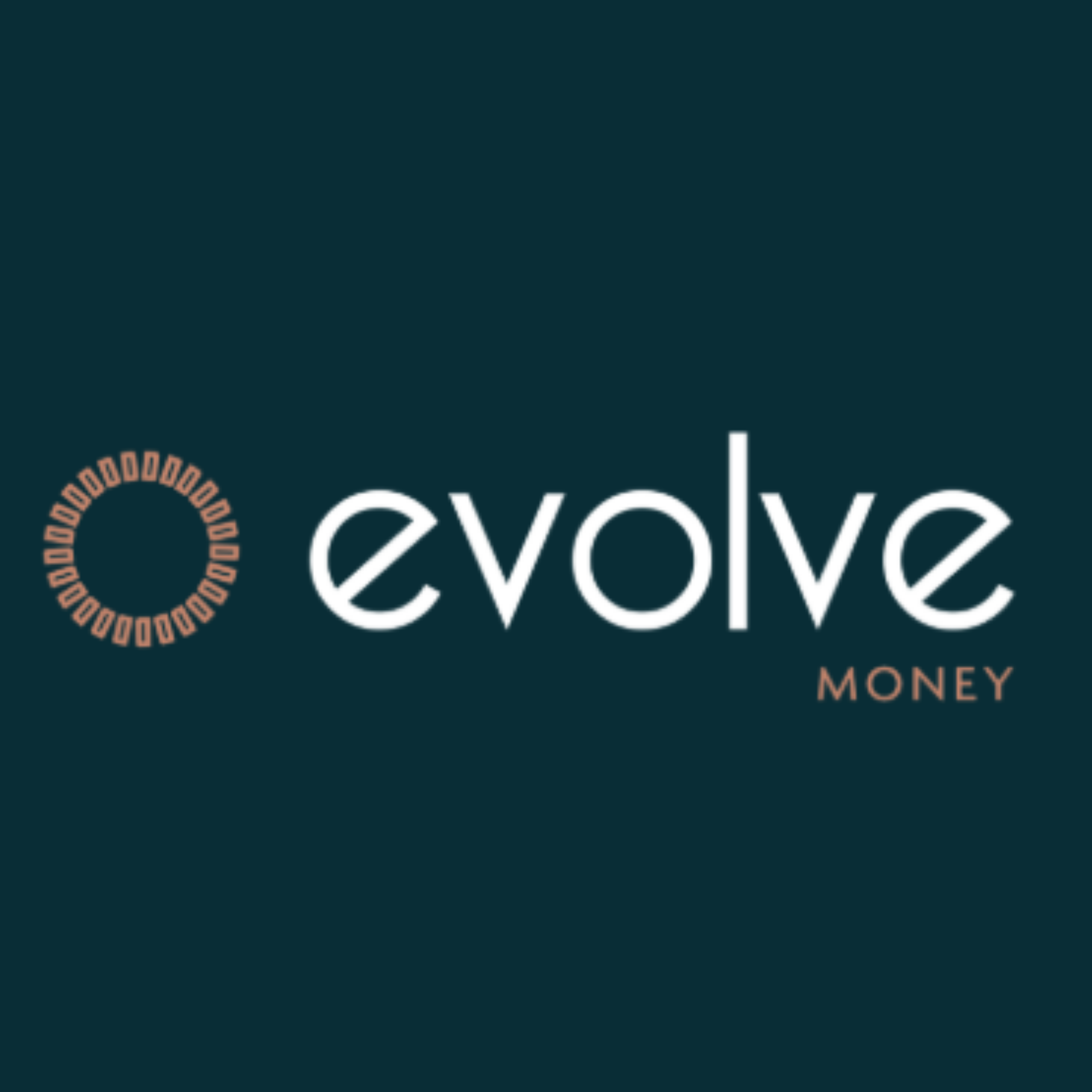 Evolve Money RP Website